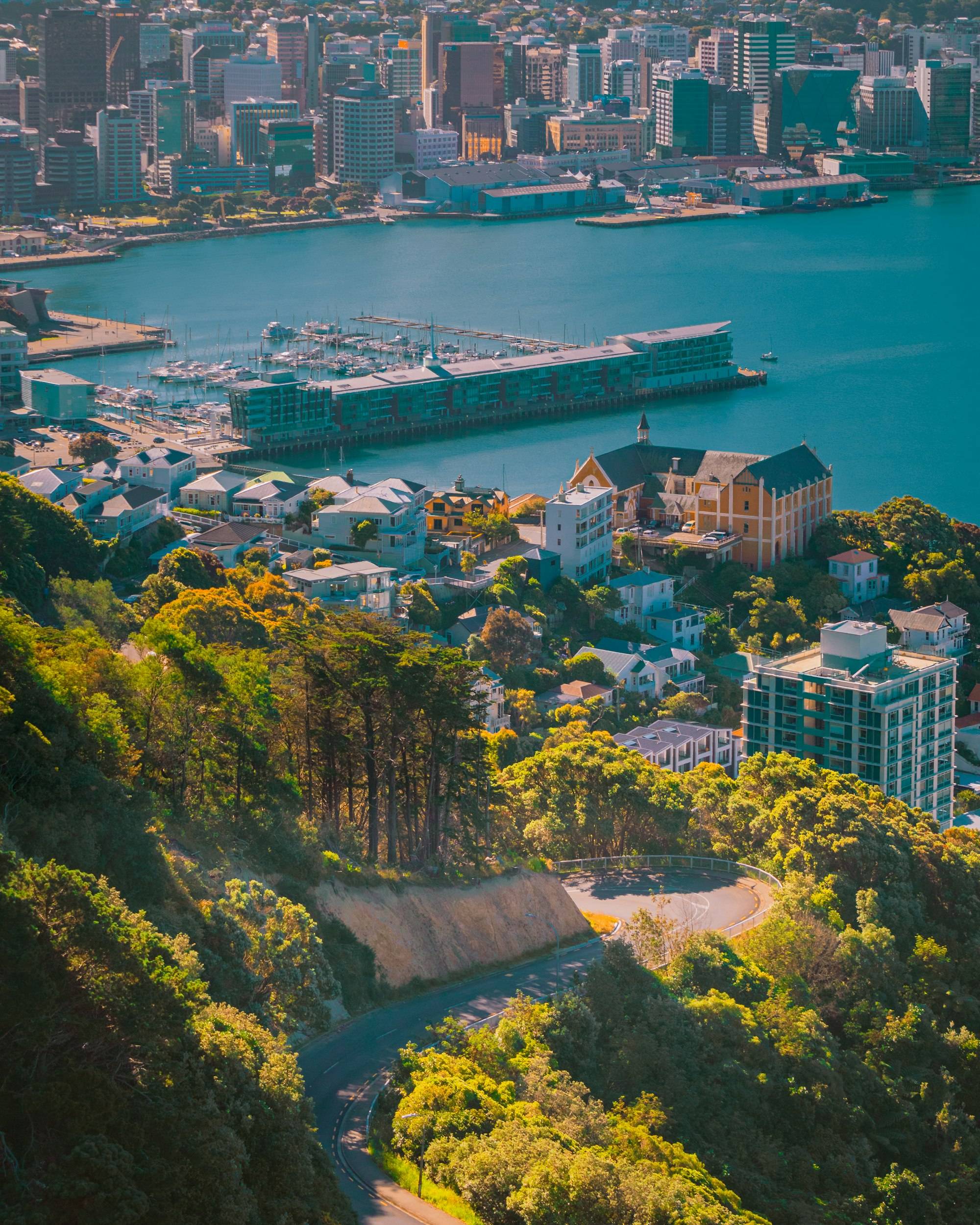 Wellington's city buildings across the harbour waterfront